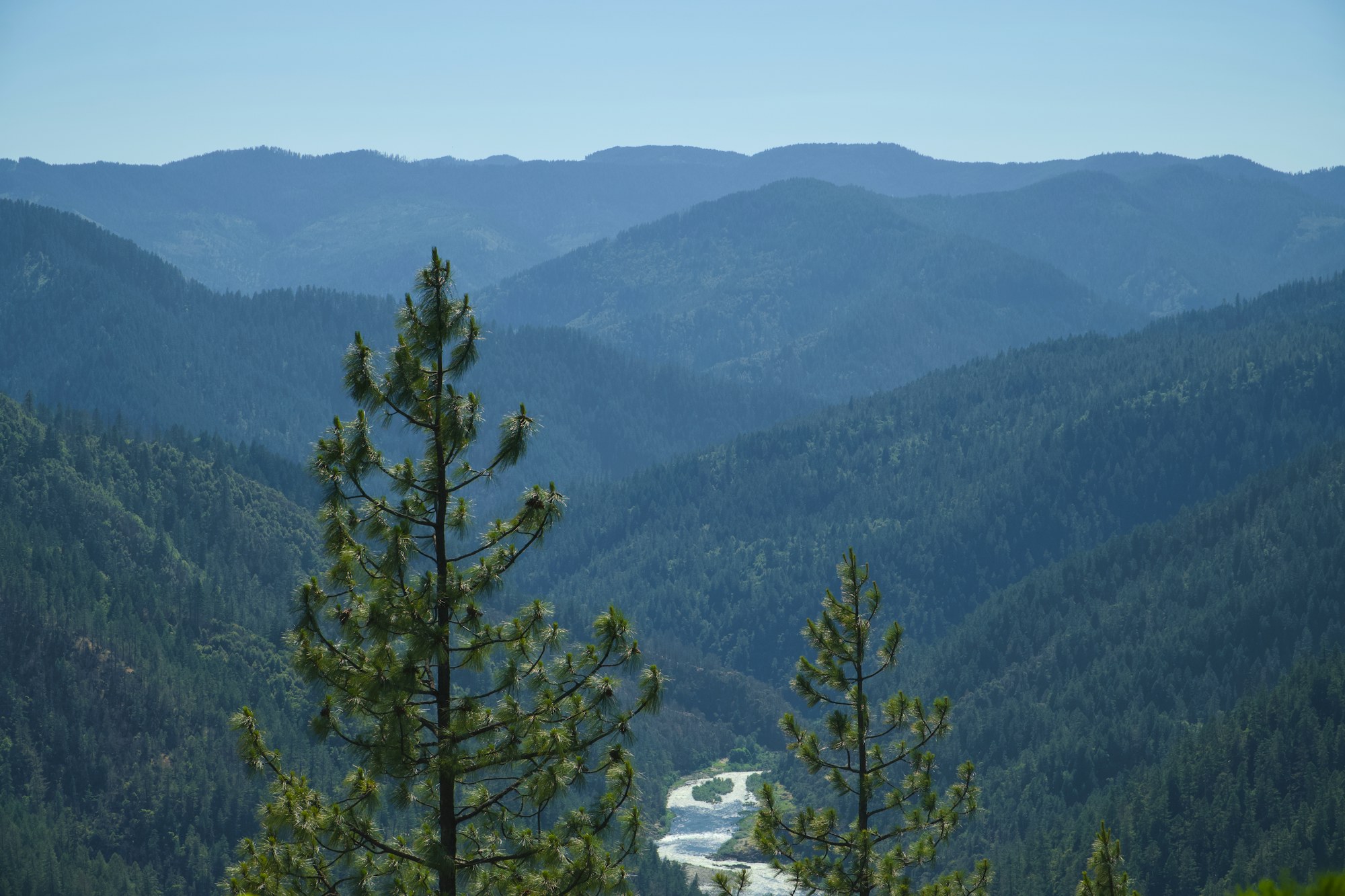 Forested mountains in Eastern Oregon